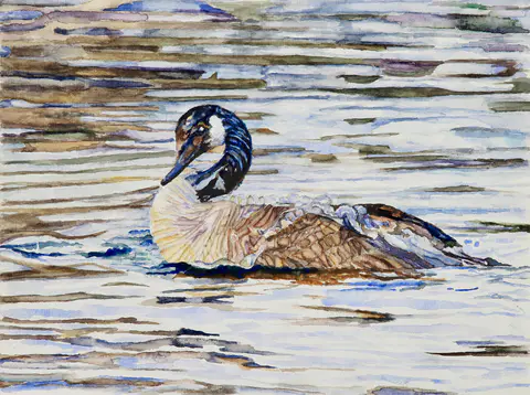 Composure (watercolor)